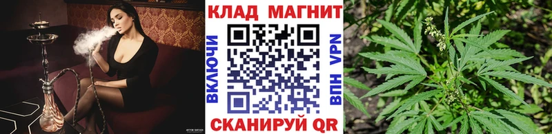 Какие есть наркотики Губкинский ГАШ  МАРИХУАНА  Амфетамин  Меф  блэк спрут ONION  КОКАИН 