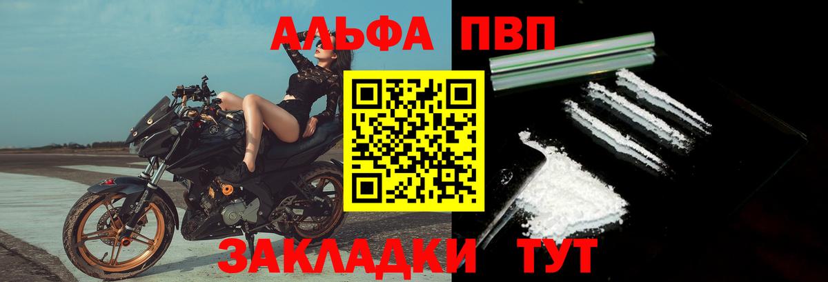 Alfa_PVP СК КРИС Губкинский