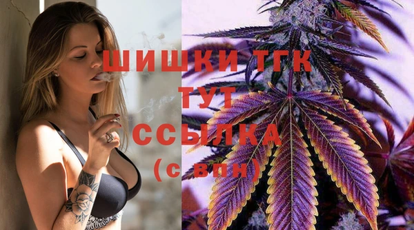 шишки Беломорск