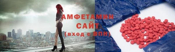 шишки Беломорск
