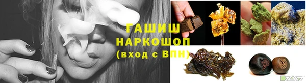 шишки Беломорск