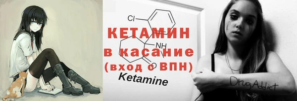 шишки Беломорск