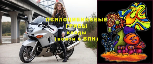 шишки Беломорск