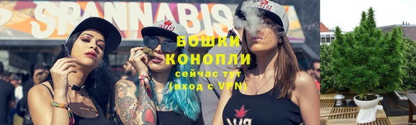 СК Богородицк