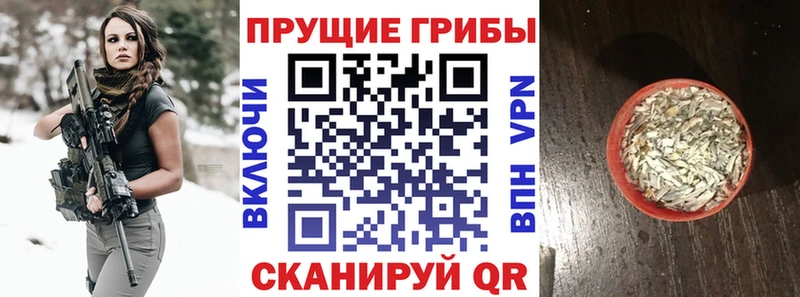 Псилоцибиновые грибы MAGIC MUSHROOMS Губкинский