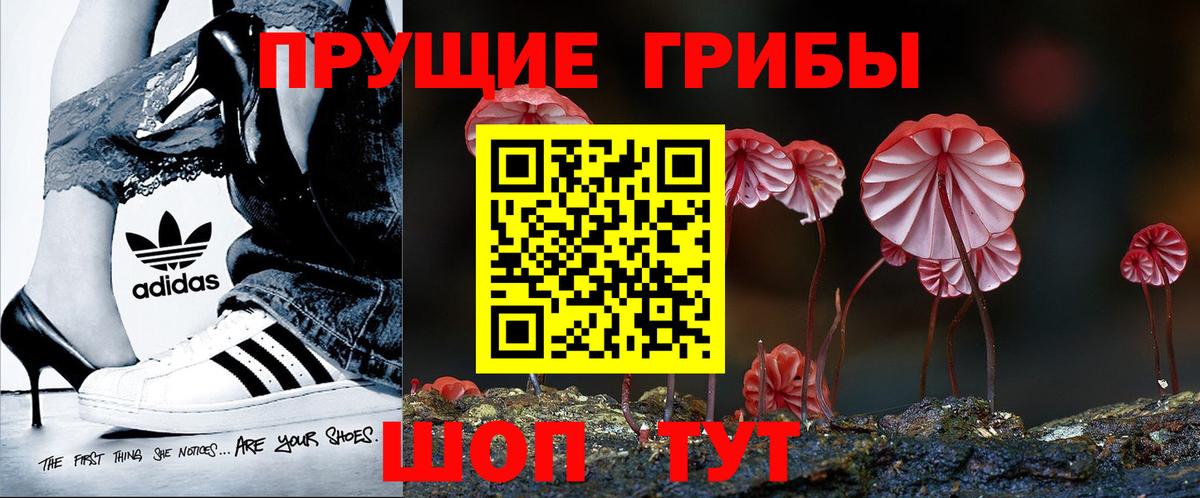 Псилоцибиновые грибы прущие грибы  Вход с VPN  как найти наркотики  Губкинский 