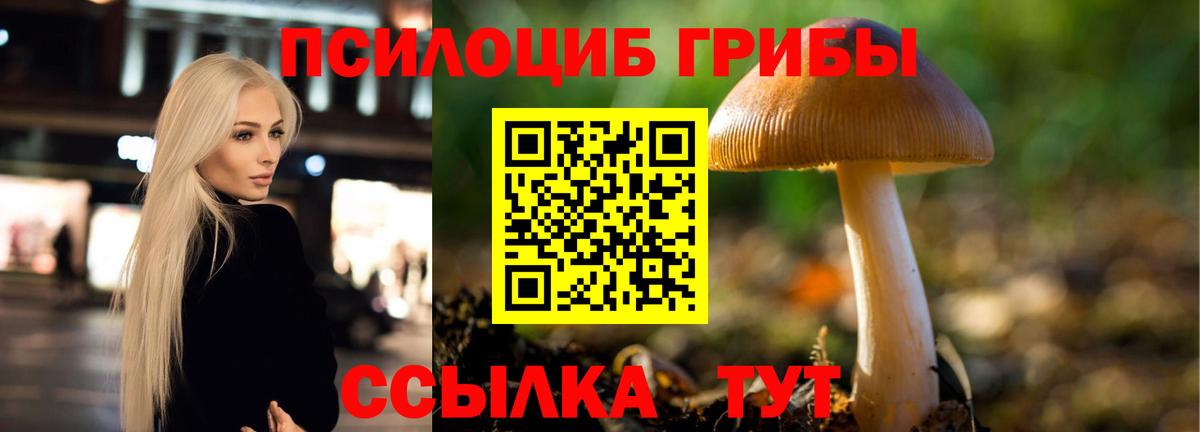 Галлюциногенные грибы Magic Shrooms Губкинский